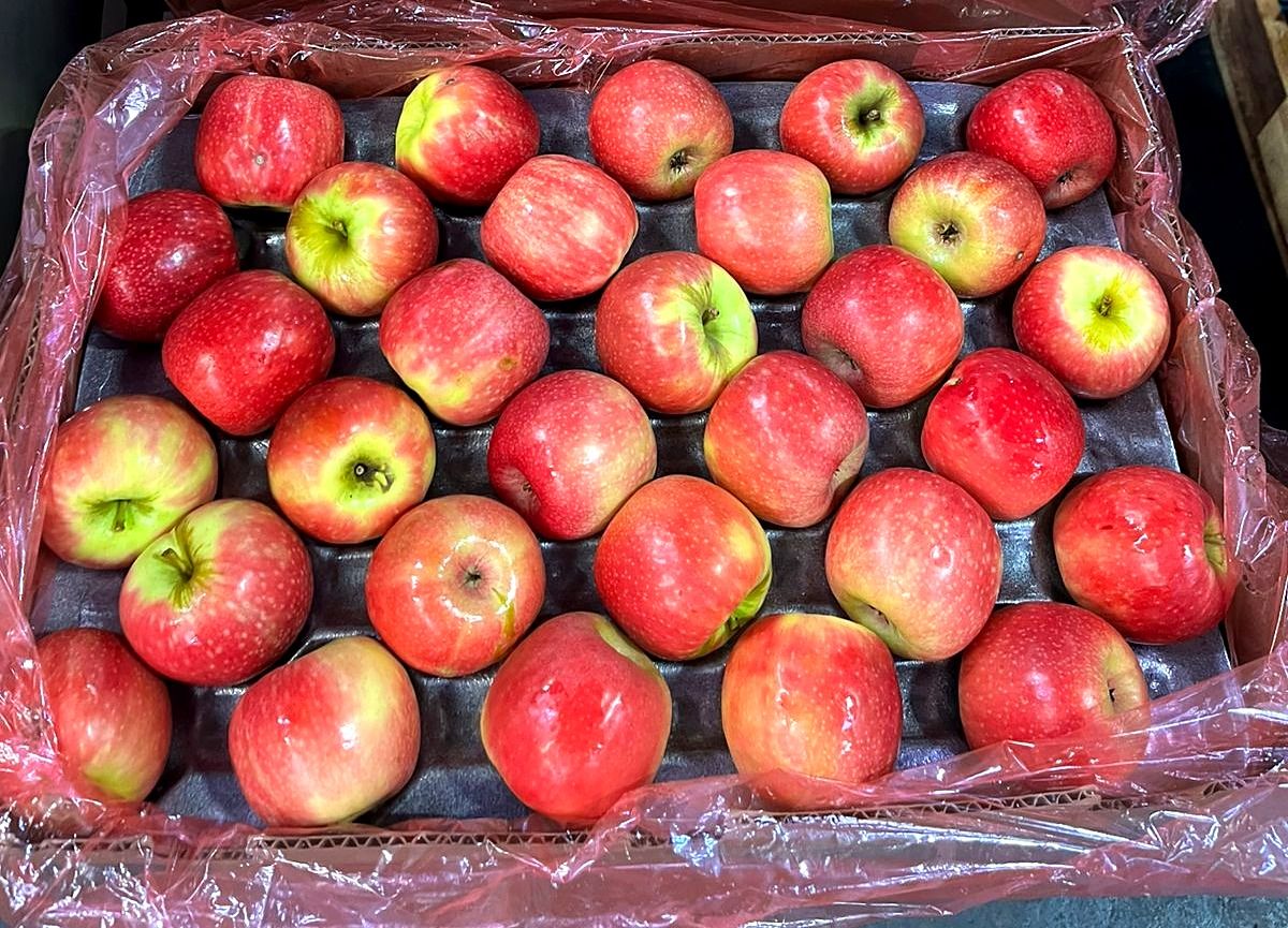 Two trays of red apples ready for supply in a warehouse