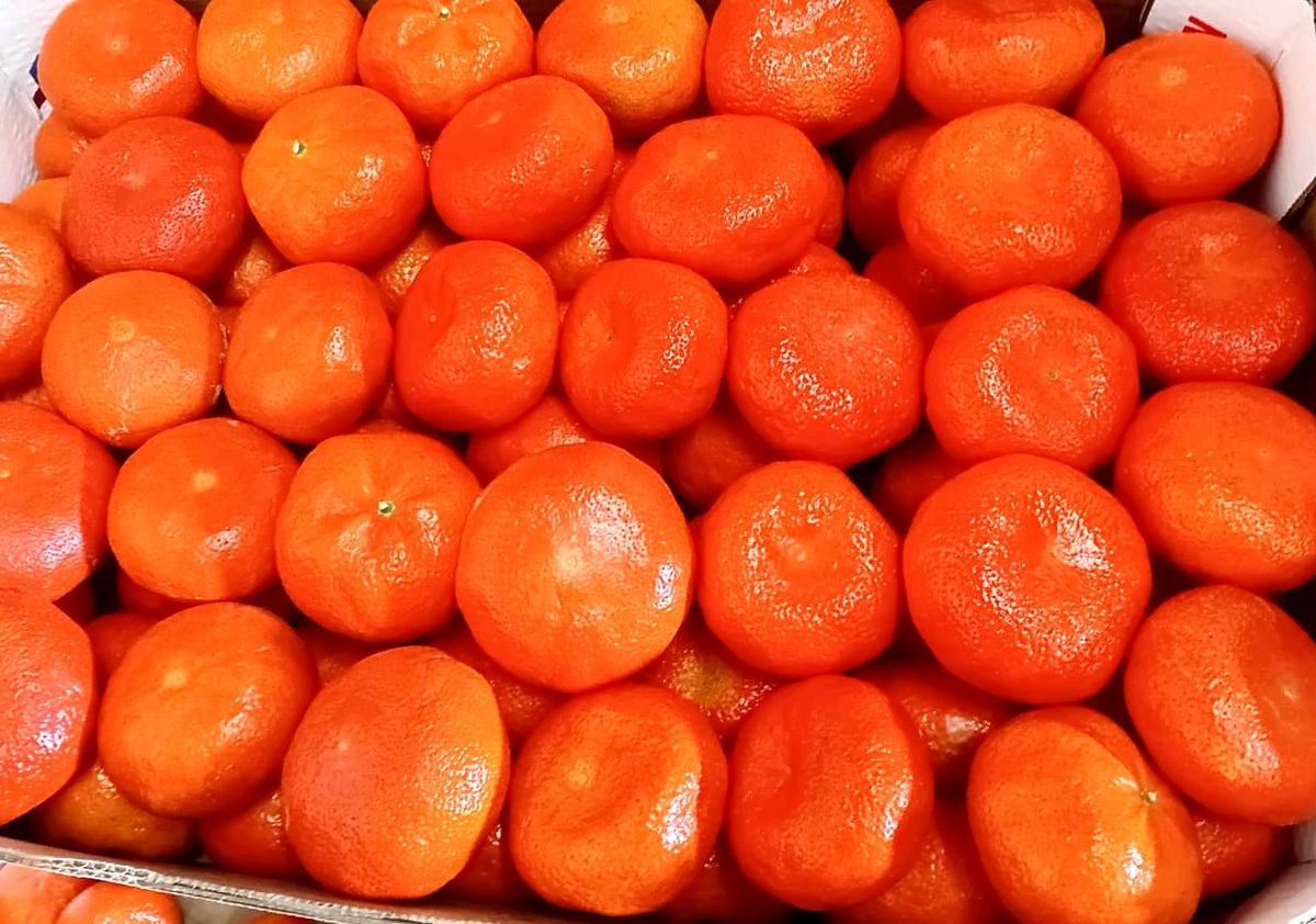 Carton of bright orange mandarins