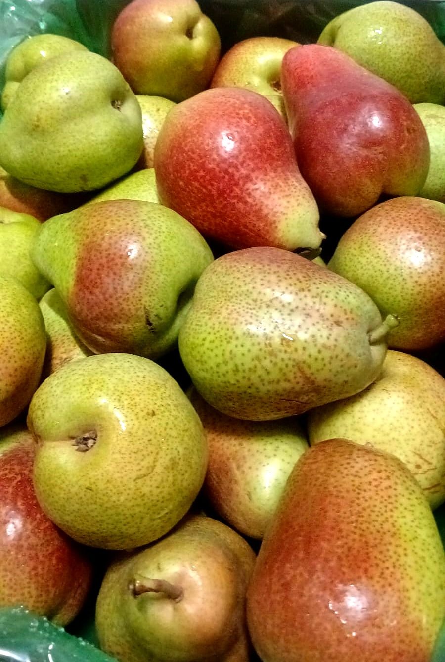 Close-up of green pears with a red blush