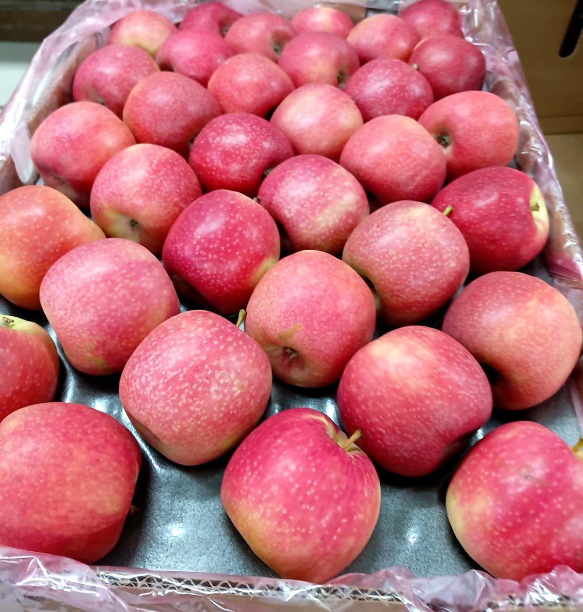 Pink apples packed in a tray carton