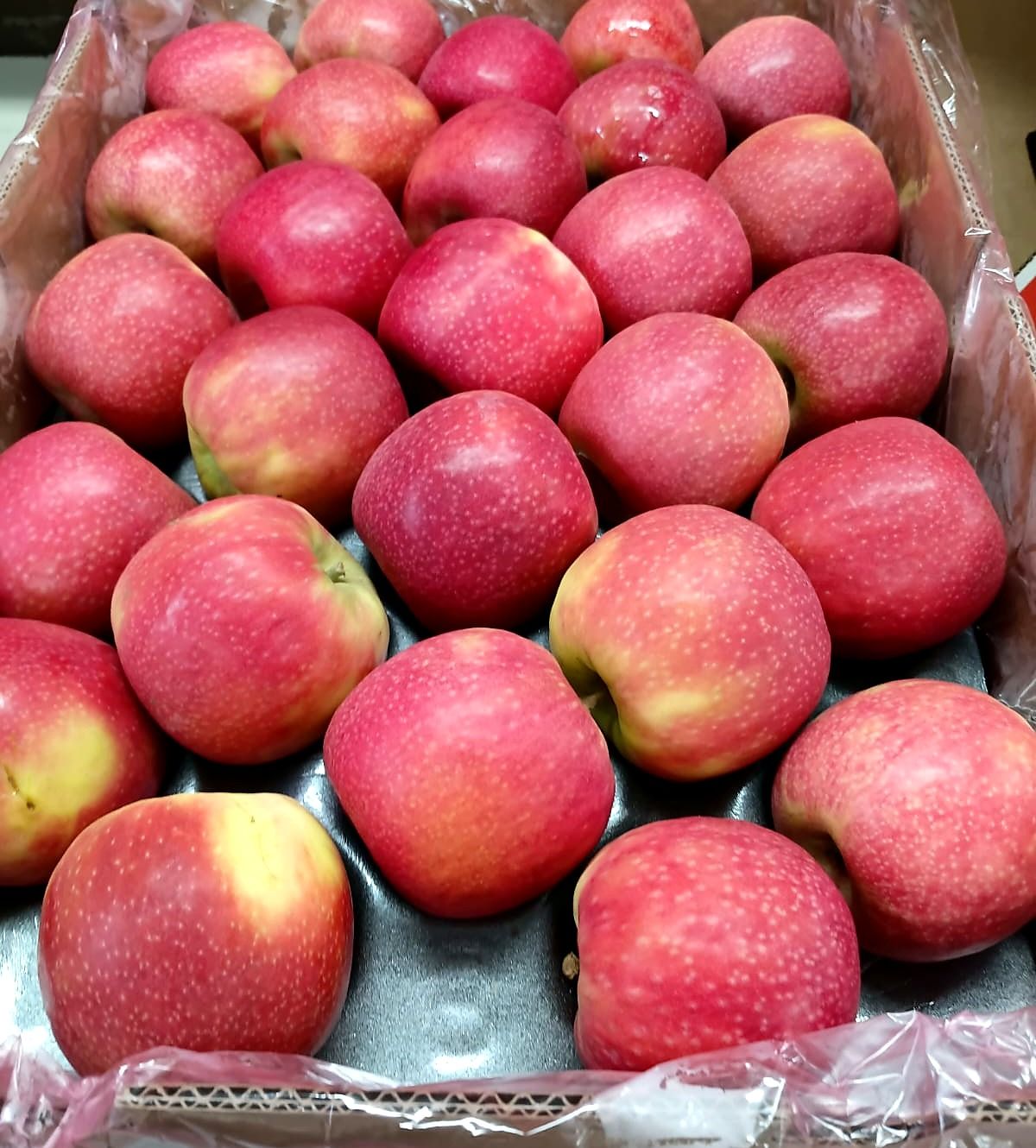 Tray of red and pink apples in a carton
